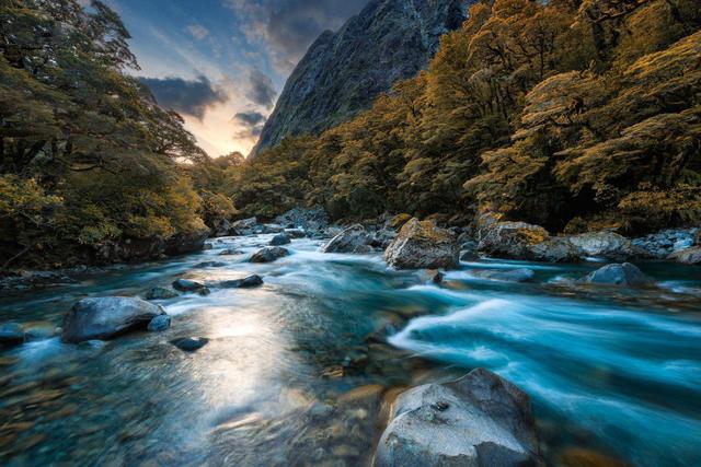 新西兰环境保护