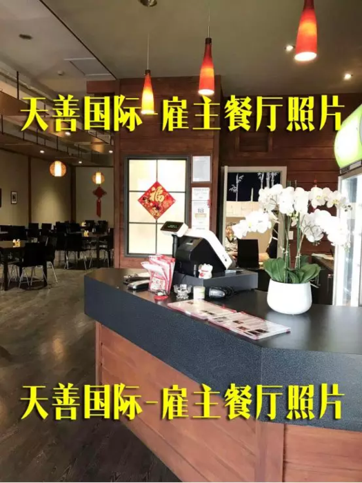 新西兰厨师成功案例 新西兰厨师成功案例