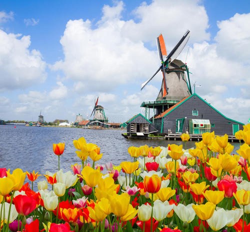 荷兰的特色文化和风情图片