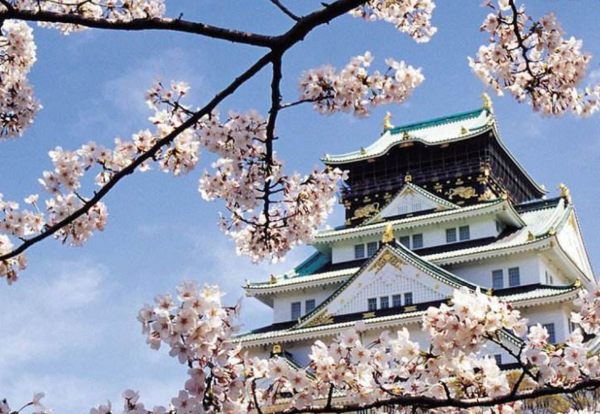 2020年日本新增哪些利好的日本留学政策？